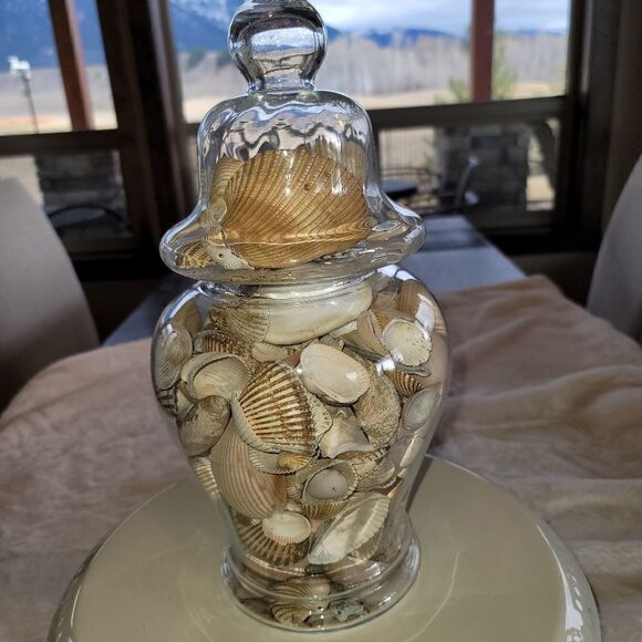 Jar of Seashells